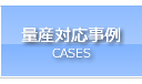 �ʎY�Ή�����